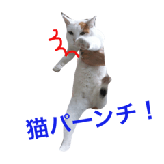 [LINEスタンプ] tina＆milk