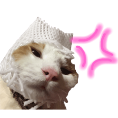 [LINEスタンプ] ネコは 毛玉