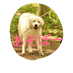 [LINEスタンプ] dix.neufstmp