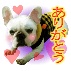 [LINEスタンプ] フレブルれりちゃん
