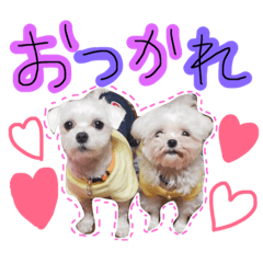 [LINEスタンプ] kairiku