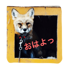 [LINEスタンプ] きつねちゃんのお家。