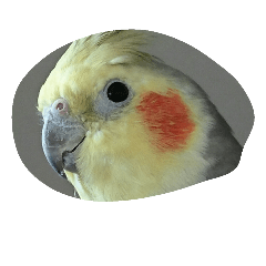 [LINEスタンプ] まるちゃんが。 fetchpriority=high