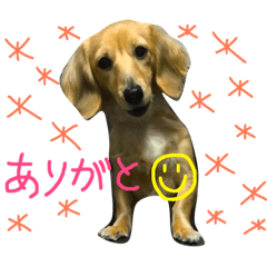 [LINEスタンプ] lala part1 