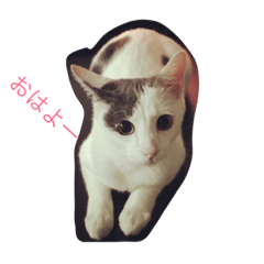 [LINEスタンプ] ムムオ