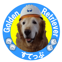 [LINEスタンプ] ゴールデンレトのお仕事犬 すてっぷ
