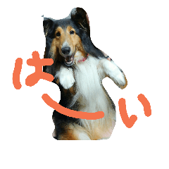 [LINEスタンプ] vigor