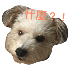 [LINEスタンプ] 3son:ouah！ouah！