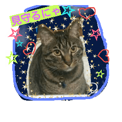 [LINEスタンプ] にゃんこですし