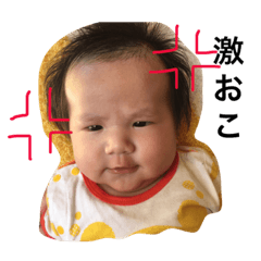 [LINEスタンプ] 虎ちゃんのスタンプ 