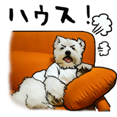 [LINEスタンプ] もちまさんちのワンちゃんスタンプ