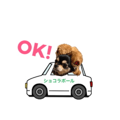 [LINEスタンプ] syokora and sometimes friends 02