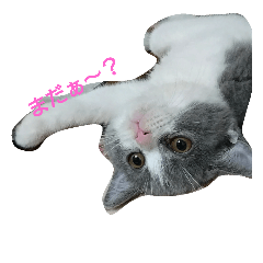 [LINEスタンプ] Everyday Mel 2