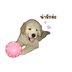 [LINEスタンプ] Kawpunyak