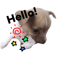 [LINEスタンプ] びびりのビビ君 