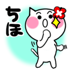 [LINEスタンプ] ちほさんが使うねこスタンプ