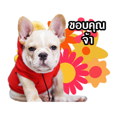 [LINEスタンプ] MUANGCHAIROTT