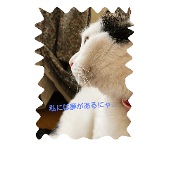 [LINEスタンプ] ペリースタンプ