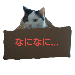 [LINEスタンプ] ペリースタンプ2