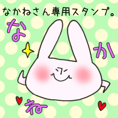 [LINEスタンプ] なかねさん専用スタンプの画像（メイン）