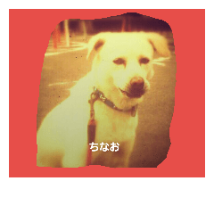 [LINEスタンプ] 雑種犬ばんとらいん、待望の第二弾(^(工)^)