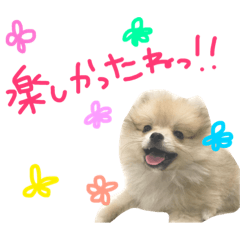 [LINEスタンプ] きなこ＊