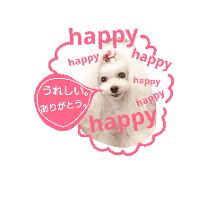 [LINEスタンプ] リラピの毎日