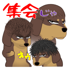 [LINEスタンプ] ダックス憤怒連合会2