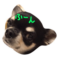 [LINEスタンプ] ちゅんたスタンプ