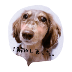 [LINEスタンプ] moniclaのつぶやき②