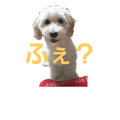 [LINEスタンプ] SUZU FACE
