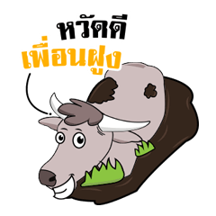 [LINEスタンプ] This's Buffalo