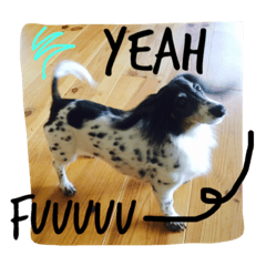 [LINEスタンプ] MINI DACHSHUND