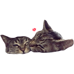 [LINEスタンプ] マルコ＆ポロ 