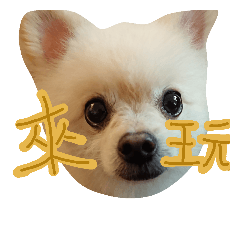 [LINEスタンプ] I'M FIFI ！