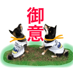 [LINEスタンプ] 黒柴ケンシロウand黒柴レオ