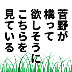 [LINEスタンプ] 菅野さん名前ナレーション