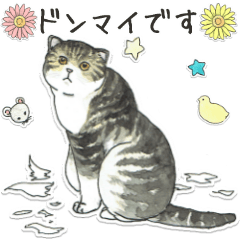[LINEスタンプ] 水彩ネコのやさしい言葉