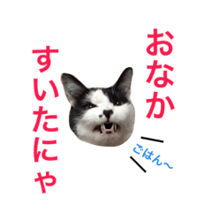 [LINEスタンプ] うちのこスタンプにゃ