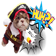 [LINEスタンプ] Wasabi My Shih Tzu