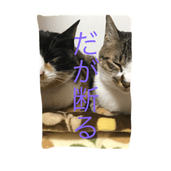 [LINEスタンプ] あんちゃんとじん君