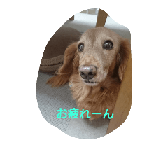 [LINEスタンプ] lovepurechan