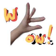 [LINEスタンプ] fox hand signの画像（メイン）