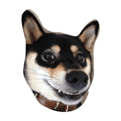 [LINEスタンプ] kuroshibasan