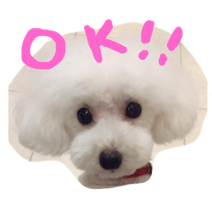 [LINEスタンプ] すぎさんちのかりんちゃんwithフレンズ
