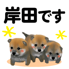 [LINEスタンプ] 岸田さん用の名前スタンプ・子犬イラストの画像（メイン）