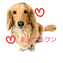 [LINEスタンプ] アロエの日常