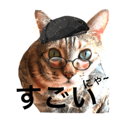 [LINEスタンプ] 三匹の猫スタンプ