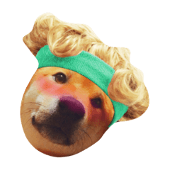 [LINEスタンプ] shiba pome LOVE