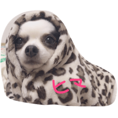 [LINEスタンプ] れみちゃん．